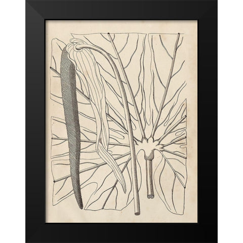 Distinctive Leaves IV Black Modern Wood Framed Art Print by Vision Studio