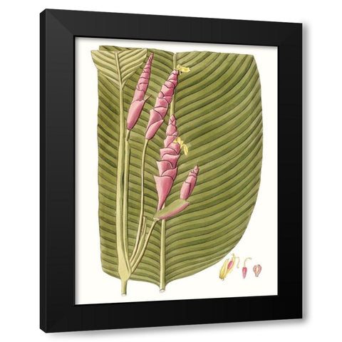 Leaves of the Tropics I Black Modern Wood Framed Art Print with Double Matting by Vision Studio