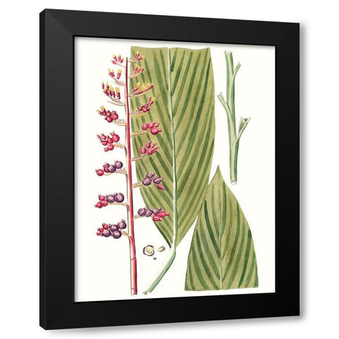 Leaves of the Tropics III Black Modern Wood Framed Art Print with Double Matting by Vision Studio