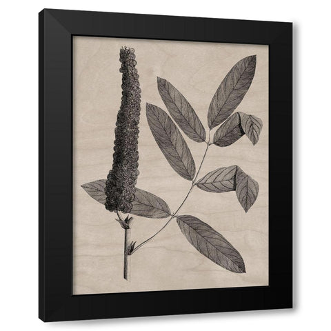 Eloquent Leaves I Black Modern Wood Framed Art Print with Double Matting by Vision Studio
