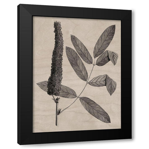 Eloquent Leaves I Black Modern Wood Framed Art Print by Vision Studio