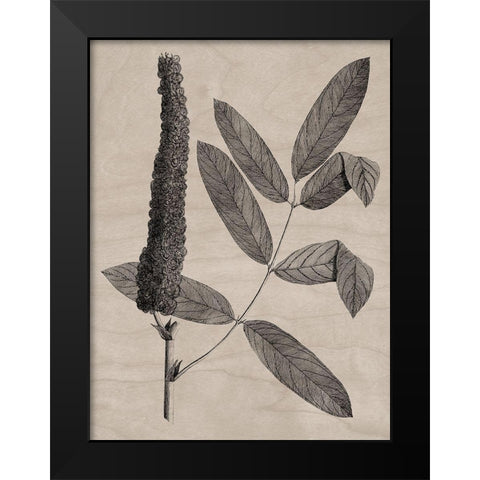 Eloquent Leaves I Black Modern Wood Framed Art Print by Vision Studio