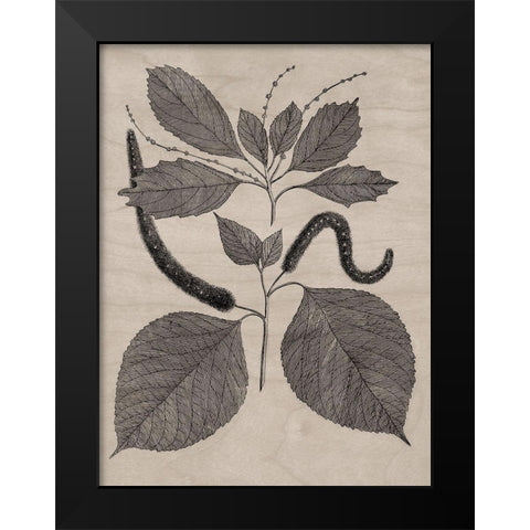 Eloquent Leaves II Black Modern Wood Framed Art Print by Vision Studio