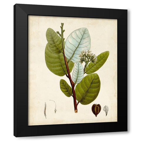 Verdant Foliage I Black Modern Wood Framed Art Print by Vision Studio