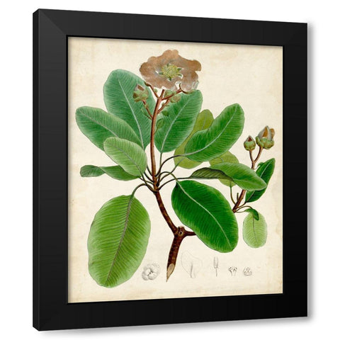 Verdant Foliage VI Black Modern Wood Framed Art Print by Vision Studio