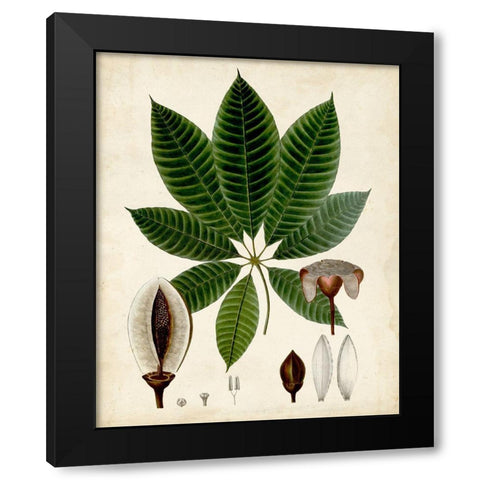 Verdant Foliage VII Black Modern Wood Framed Art Print with Double Matting by Vision Studio