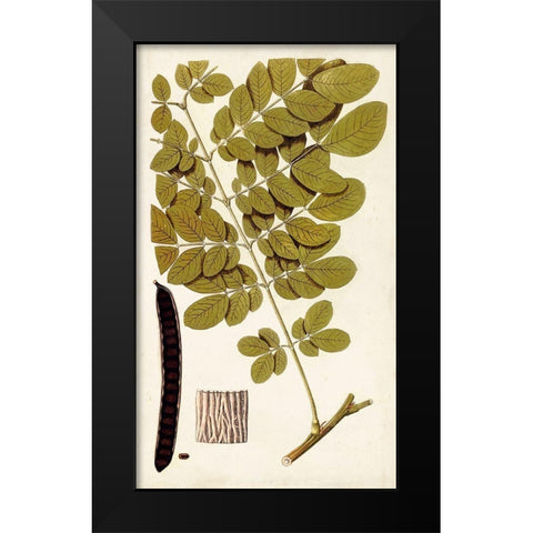 Leaf Varieties I Black Modern Wood Framed Art Print by Vision Studio