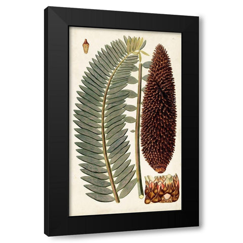 Leaf Varieties IV Black Modern Wood Framed Art Print by Vision Studio