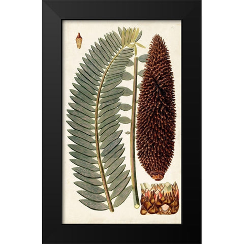 Leaf Varieties IV Black Modern Wood Framed Art Print by Vision Studio