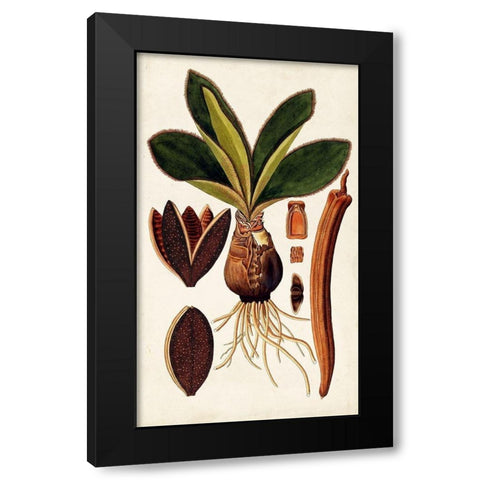 Leaf Varieties V Black Modern Wood Framed Art Print with Double Matting by Vision Studio