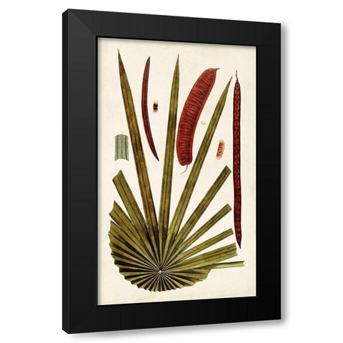 Leaf Varieties VI Black Modern Wood Framed Art Print with Double Matting by Vision Studio