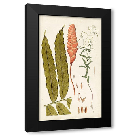 Leaf Varieties VII Black Modern Wood Framed Art Print with Double Matting by Vision Studio