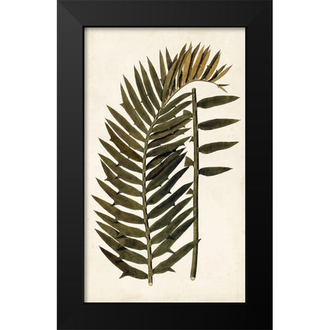 Leaf Varieties VIII Black Modern Wood Framed Art Print by Vision Studio