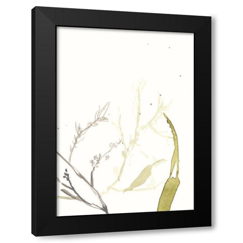 Under Sea Forest II Black Modern Wood Framed Art Print with Double Matting by Goldberger, Jennifer