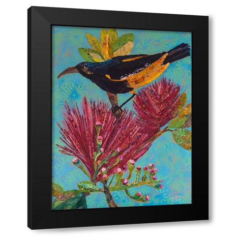 Hawaiian Bird III Black Modern Wood Framed Art Print with Double Matting by St. Hilaire, Elizabeth