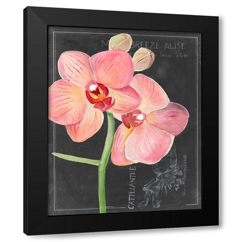 Chalkboard Flower I Black Modern Wood Framed Art Print with Double Matting by Parker, Jennifer Paxton