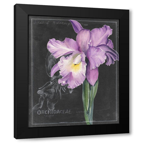Chalkboard Flower II Black Modern Wood Framed Art Print by Parker, Jennifer Paxton