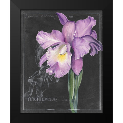 Chalkboard Flower II Black Modern Wood Framed Art Print by Parker, Jennifer Paxton