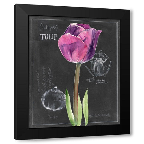 Chalkboard Flower IV Black Modern Wood Framed Art Print by Parker, Jennifer Paxton