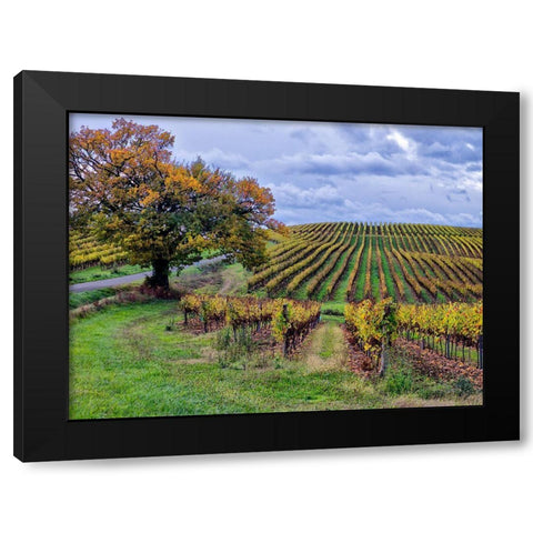 Pastoral Countryside I Black Modern Wood Framed Art Print by Chester, Colby