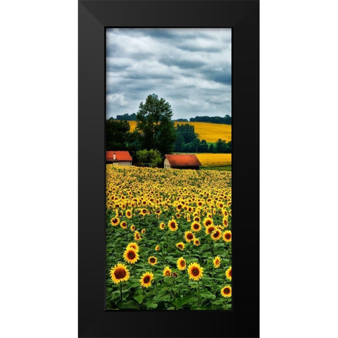 Pastoral Countryside IV - A Black Modern Wood Framed Art Print by Chester, Colby