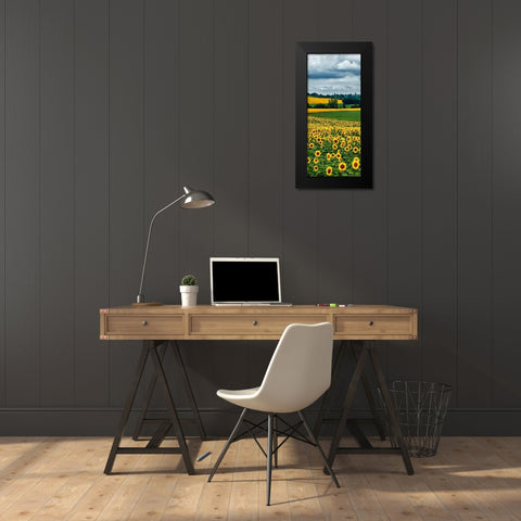 Pastoral Countryside IV - B Black Modern Wood Framed Art Print by Chester, Colby