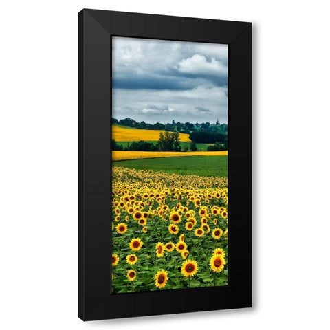 Pastoral Countryside IV - B Black Modern Wood Framed Art Print with Double Matting by Chester, Colby