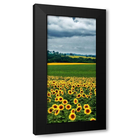 Pastoral Countryside IV - C Black Modern Wood Framed Art Print with Double Matting by Chester, Colby