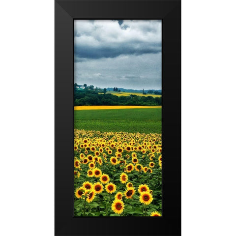 Pastoral Countryside IV - C Black Modern Wood Framed Art Print by Chester, Colby
