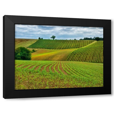 Pastoral Countryside VI Black Modern Wood Framed Art Print with Double Matting by Chester, Colby