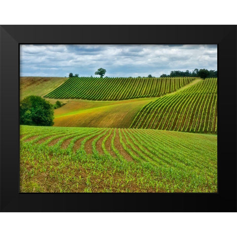 Pastoral Countryside VI Black Modern Wood Framed Art Print by Chester, Colby