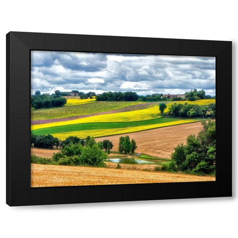 Pastoral Countryside VIII Black Modern Wood Framed Art Print with Double Matting by Chester, Colby