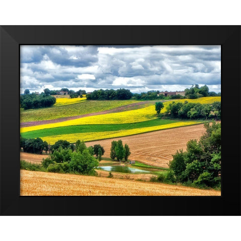 Pastoral Countryside VIII Black Modern Wood Framed Art Print by Chester, Colby