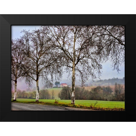Pastoral Countryside XI Black Modern Wood Framed Art Print by Chester, Colby