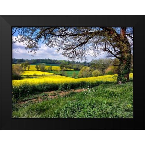 Pastoral Countryside XIV Black Modern Wood Framed Art Print by Chester, Colby
