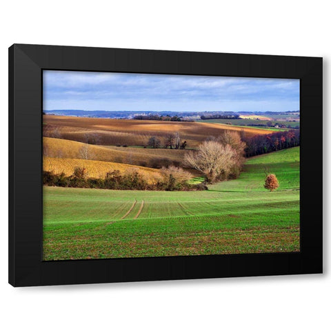 Pastoral Countryside XVII Black Modern Wood Framed Art Print with Double Matting by Chester, Colby