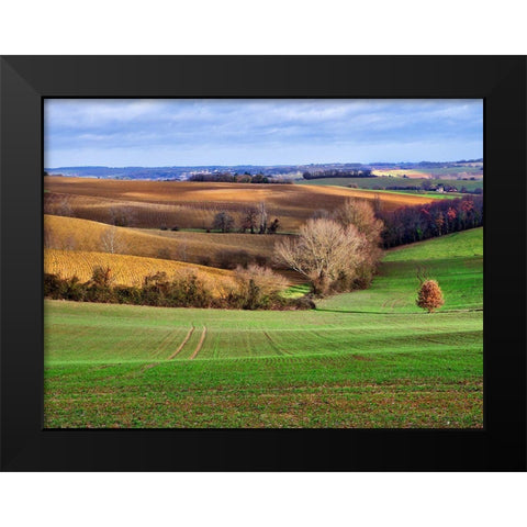 Pastoral Countryside XVII Black Modern Wood Framed Art Print by Chester, Colby