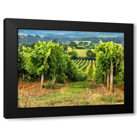 Pastoral Countryside XIX Black Modern Wood Framed Art Print with Double Matting by Chester, Colby