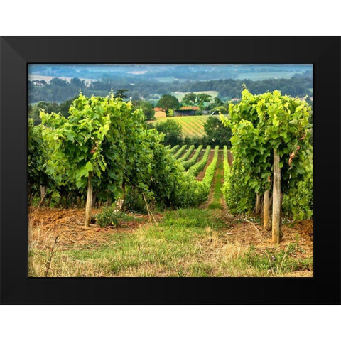 Pastoral Countryside XIX Black Modern Wood Framed Art Print by Chester, Colby