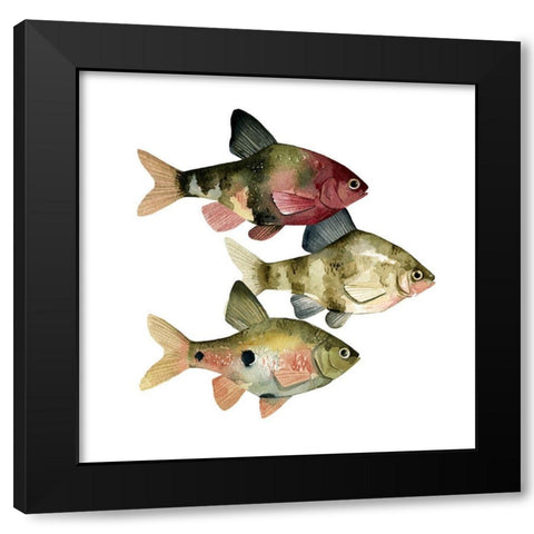 Rainbow Fish II Black Modern Wood Framed Art Print with Double Matting by Scarvey, Emma