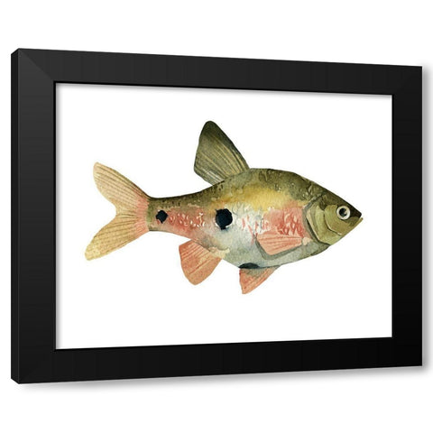 Rainbow Fish III Black Modern Wood Framed Art Print by Scarvey, Emma