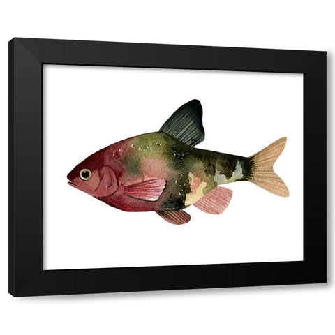 Rainbow Fish IV Black Modern Wood Framed Art Print with Double Matting by Scarvey, Emma