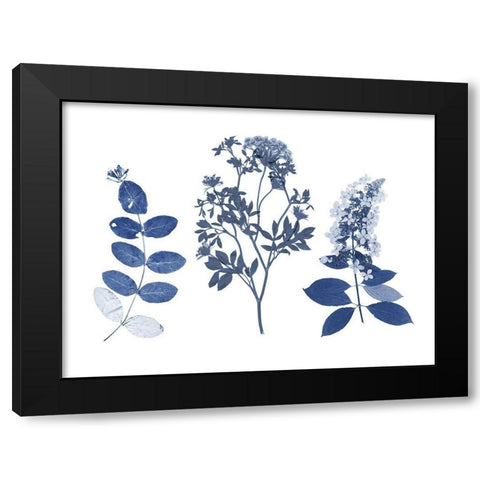 Indigo Pressed Florals I Black Modern Wood Framed Art Print by Studio W