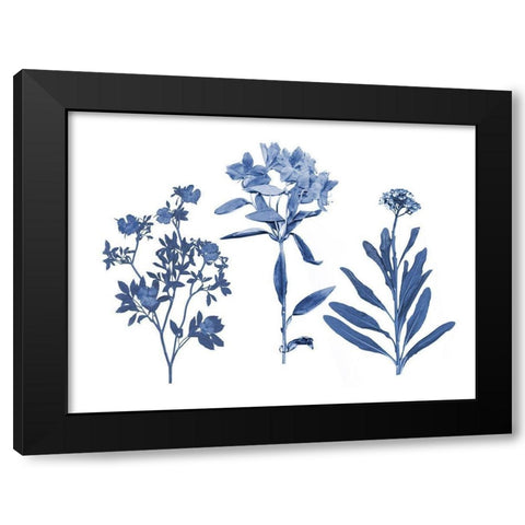 Indigo Pressed Florals II Black Modern Wood Framed Art Print with Double Matting by Studio W