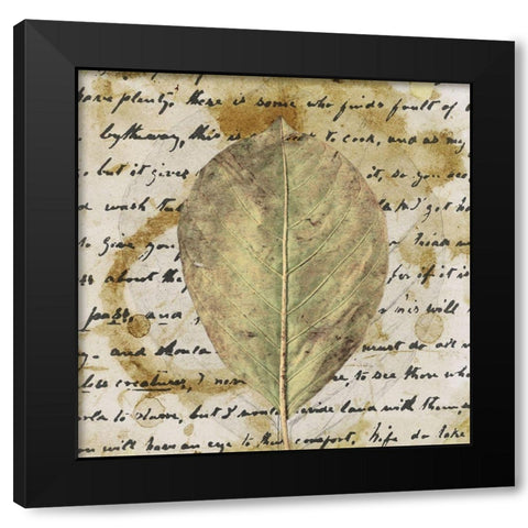 Earth Leaf II Black Modern Wood Framed Art Print by Saunders, Alonzo