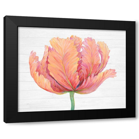 Single Pink Bloom I Black Modern Wood Framed Art Print with Double Matting by OToole, Tim