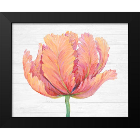 Single Pink Bloom I Black Modern Wood Framed Art Print by OToole, Tim