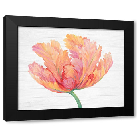 Single Pink Bloom II Black Modern Wood Framed Art Print with Double Matting by OToole, Tim