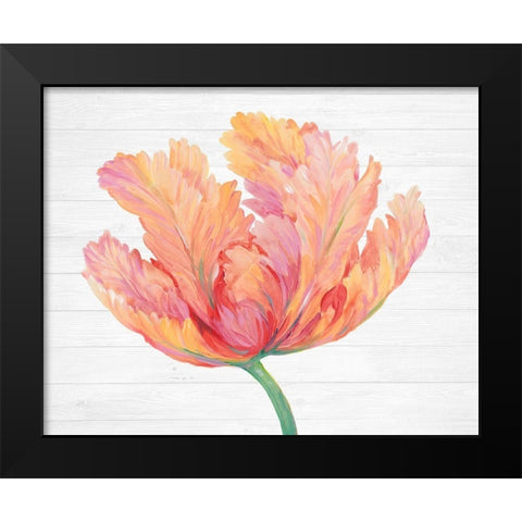 Single Pink Bloom II Black Modern Wood Framed Art Print by OToole, Tim