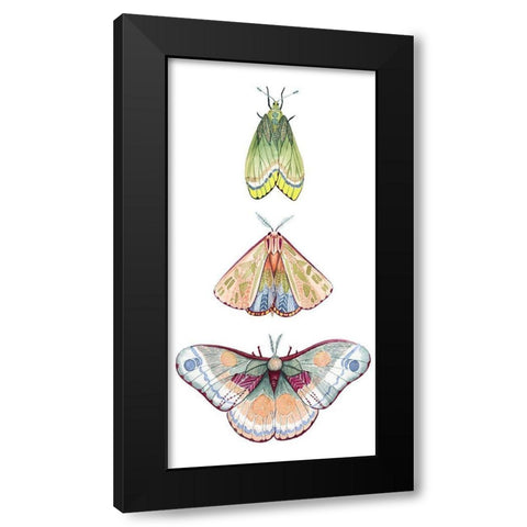 Moth Fairies II Black Modern Wood Framed Art Print with Double Matting by Popp, Grace
